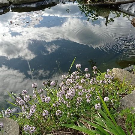 Apartmán Il Giardino Segreto Beura Exteriér fotografie