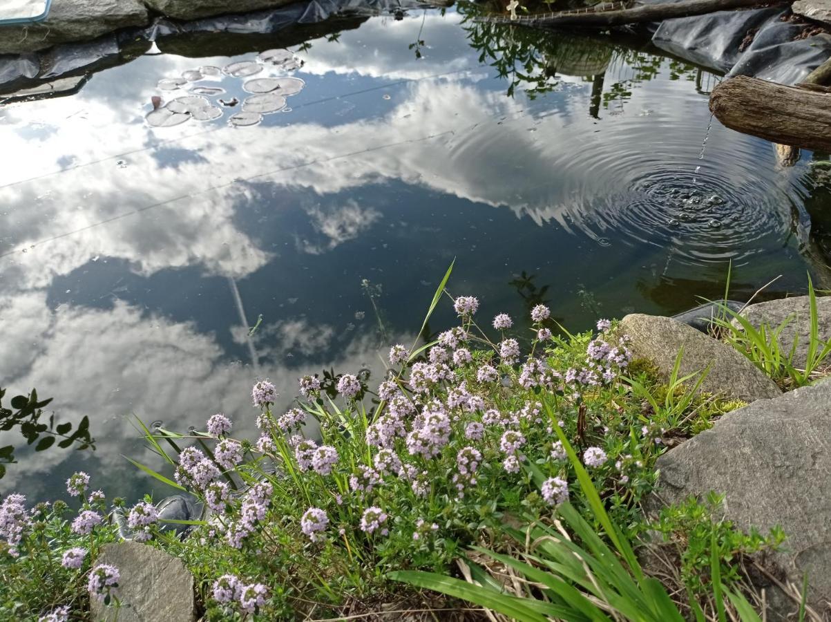 Apartmán Il Giardino Segreto Beura Exteriér fotografie